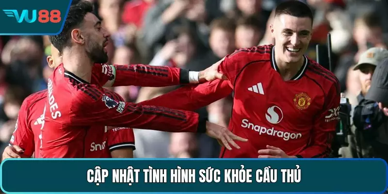 Soi Kèo MU - Cẩm Nang Nhận Định Bóng Đỏ Thành Manchester Cập nhật tình hình sức khỏe cầu thủ