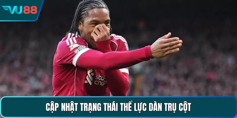 Soi Kèo Liverpool - Phân Tích Chuyên Sâu Và Nhận Định Chuẩn Cập nhật trạng thái thể lực dàn trụ cột