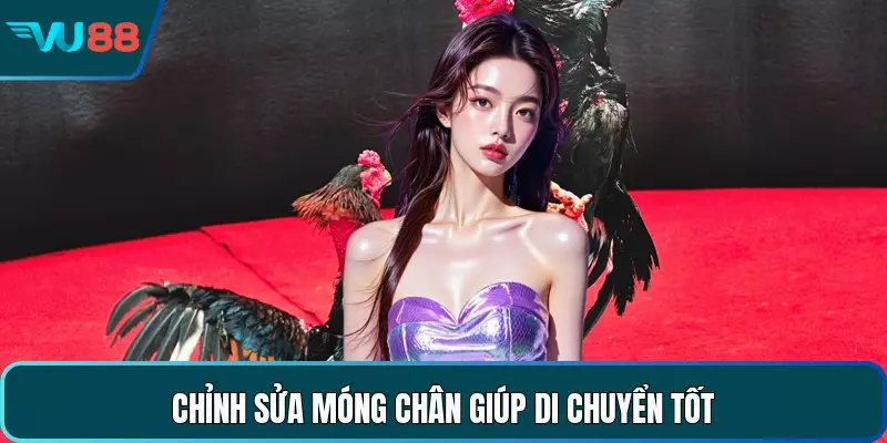 Cách Nuôi Gà Đá Hiệu Quả Và Chăm Sóc Chiến Kê Chuyên Nghiệp Chỉnh sửa móng chân giúp di chuyển tốt