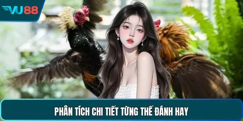 Trường Gà Thomo - Không Gian Giải Trí Đỉnh Cao Hấp Dẫn Phân tích chi tiết từng thế đánh hay